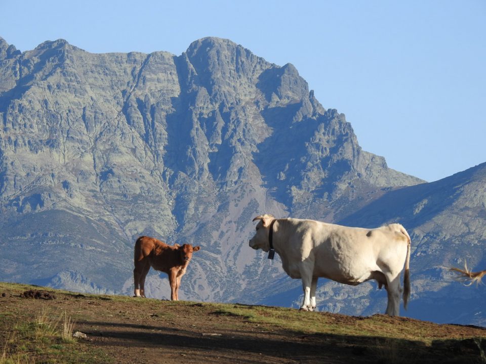 Valles y Cumbres - Montaña Palentina